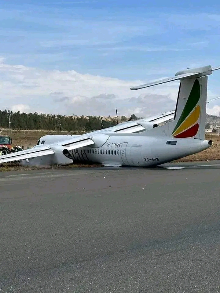 ሓደጋ ነፋሪት